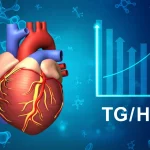 Illustrazione medica che mostra un cuore umano con il ventricolo sinistro evidenziato e ingrossato (ipertrofia) accanto a una rappresentazione grafica del rapporto TG/HDL, con frecce che indicano una correlazione. Sfondo astratto con molecole di lipidi, alta definizione.