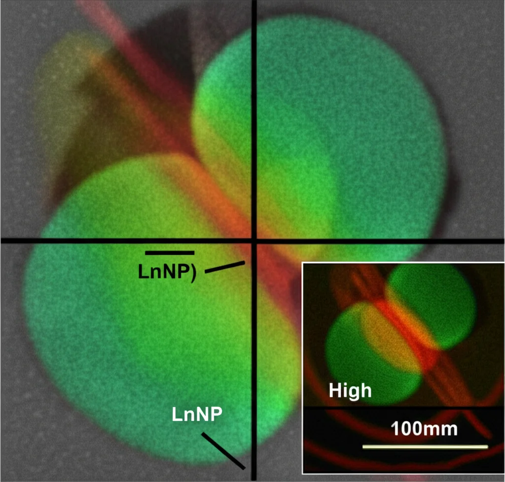 Immagine fotorealistica al microscopio elettronico di eterostrutture core-shell NaGdF4@CsPbBr3, con un nucleo piccolo (LnNP) visibile dentro un guscio più grande (LHP), evidenziando il superamento del disallineamento reticolare. Macro lens, 100mm, High detail, controlled lighting, nanoparticelle luminose.