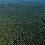 Veduta aerea mozzafiato di una vasta area forestale nella Penisola Iberica, che mostra un mosaico di tipi di foresta con diverse altezze e densità di chioma. Fotografia paesaggistica scattata da alta quota, obiettivo grandangolare 20mm, luce solare diffusa, alta risoluzione, colori naturali vibranti, messa a fuoco nitida sull'intera estensione.