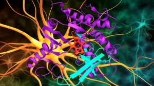 Visualizzazione 3D di un anticorpo monoclonale (Fepixnebart) che si lega a una proteina bersaglio (epiregulina) su uno sfondo astratto che rappresenta percorsi neurali del dolore, fotografia macro, 85mm, illuminazione controllata, alta definizione.