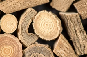 Fotografia macro di rizomi secchi di Alismatis Rhizoma, illuminazione controllata, alta definizione, 100mm macro lens, che mostra le differenze di texture e forma usate per l'identificazione con intelligenza artificiale.