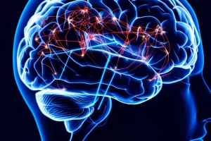 Rappresentazione artistica e scientifica dell'analisi fMRI multisoggetto con JASDL. Si vedono reti neurali interconnesse che brillano all'interno di una silhouette trasparente di un cervello. Alcune connessioni sono nitide e dettagliate (variazioni), altre formano flussi luminosi e fluidi (dinamiche). Obiettivo grandangolare, 10mm, effetto di lunga esposizione sui flussi dinamici, focus nitido sui dettagli delle reti, sfondo scuro per enfatizzare la luminescenza neurale.