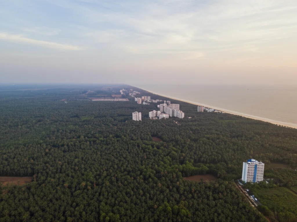 Veduta aerea grandangolare 15mm di un paesaggio dell'Odisha che mostra la dicotomia tra aree rurali tribali con foreste (simbolo del Sistema B) e zone costiere più sviluppate con edifici moderni (simbolo del Sistema A), luce del tardo pomeriggio, alta definizione, per rappresentare i due sistemi sanitari.