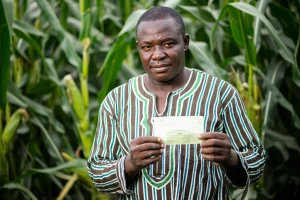 Un agricoltore Ghanese, sulla quarantina, guarda con scetticismo un buono cartaceo per fertilizzante che tiene in mano, sullo sfondo un campo di mais rigoglioso ma anche segni di siccità. Fotografia ritratto, obiettivo 35mm, luce naturale controllata, profondità di campo che sfoca leggermente lo sfondo, toni caldi ma realistici.
