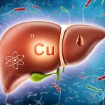 Illustrazione concettuale che fonde una goccia di sangue con poche cellule (simbolo dell'anemia aplastica) e un simbolo atomico del rame (Cu) che si deposita su un fegato stilizzato (Malattia di Wilson), su uno sfondo astratto di eliche di DNA e telomeri accorciati. Fotografia still life, lente macro 60mm, alta definizione, illuminazione drammatica.