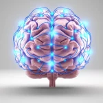 Immagine fotorealistica del cervello umano stilizzato ma anatomicamente riconoscibile, con connessioni neurali luminose che simboleggiano attività e salute. Lo sfondo è neutro e pulito, di colore grigio chiaro. L'illuminazione è morbida e diffusa, mettendo in risalto la texture e la forma del cervello. Obiettivo prime 50mm, focus nitido sulla struttura cerebrale.