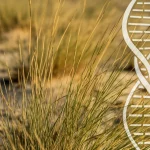 Primo piano di Aeluropus littoralis in un ambiente salino con sovrapposizione grafica stilizzata di una doppia elica di DNA, obiettivo macro 70mm, alta definizione, luce solare radente che ne esalta la texture.