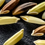 Fotografia macro di chicchi di riso di diverse dimensioni. In primo piano, alcuni chicchi di riso mutante ostgs1, notevolmente più grandi, accanto a chicchi di riso standard (wild type). I chicchi sono disposti su una superficie scura e testurizzata, forse legno grezzo o ardesia, per contrasto. Illuminazione laterale controllata per creare ombre morbide ed esaltare la forma tridimensionale e la texture dei chicchi. Obiettivo macro 100mm, alta definizione, messa a fuoco selettiva sui chicchi più grandi in primo piano, profondità di campo ridotta.