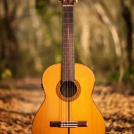 Chitarra classica finita, in primo piano la tastiera e le fasce realizzate con legni tropicali messicani alternativi come Tepemezquite e Zocón, appoggiata in un ambiente naturale che richiama la foresta secca messicana, luce naturale calda del tardo pomeriggio, obiettivo prime 50mm, profondità di campo ridotta per sfocare leggermente lo sfondo e far risaltare la chitarra.