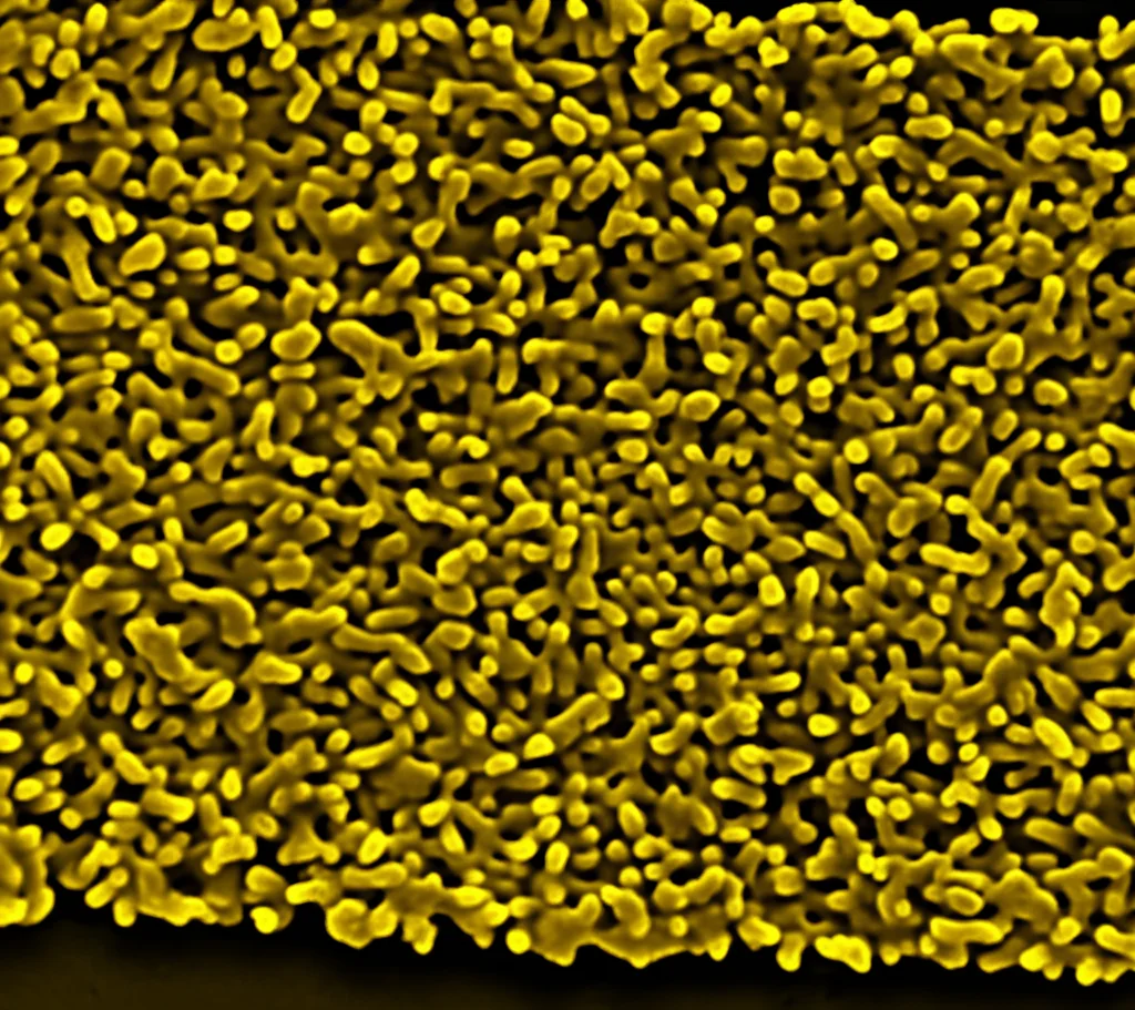 Immagine fotorealistica di un primo piano di una cella solare organica flessibile di tipo PM6:Y7, con un ingrandimento che mostra microscopicamente le nanostrutture di triossido di tungsteno integrate nello strato attivo, illuminate da una luce intensa che simula il sole. Obiettivo macro 80mm, alta definizione, illuminazione drammatica per evidenziare i materiali.