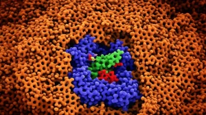 Immagine fotorealistica al microscopio elettronico (simulata) della proteina PIN8 che lega l'erbicida 2,4-D all'interno di una membrana cellulare vegetale. Focus nitido sulla tasca di legame della proteina con la molecola di erbicida visibile. Obiettivo macro 105mm, illuminazione drammatica laterale, alta definizione dei dettagli molecolari.
