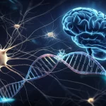 Illustrazione concettuale fotorealistica dell'asse molecolare LINC00641/miR-323a-3p/EIF4G2 all'interno di un neurone stilizzato, con molecole di RNA rappresentate come filamenti luminosi interagenti, sfondo cerebrale astratto, Prime lens 35mm, profondità di campo, duotone blu e oro.