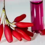Fotografia macro, 90mm, di bacche di crespino (Berberis vulgaris) rosso brillante accanto a una fiala contenente l'estratto purificato di antocianine, rosso intenso, su sfondo neutro da laboratorio, illuminazione controllata, alta definizione, focus preciso sulle bacche e sulla fiala.