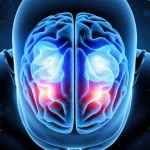Immagine concettuale del cervello umano visto dall'alto, con alcune aree (lobi frontali) evidenziate da una luce bluastra che simboleggia l'attività cognitiva o le aree colpite. Sfondo scuro e astratto con particelle simili a virus sfocate. Obiettivo macro 100mm, alta definizione, illuminazione controllata drammatica per focalizzare sulle aree cerebrali evidenziate.