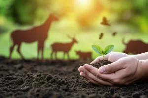 Immagine simbolica dell'approccio One Health applicato alla biosicurezza vegetale: una mano umana che protegge delicatamente un giovane germoglio verde che cresce da un terreno fertile, con sagome sfocate di animali e un ambiente naturale sullo sfondo. Obiettivo prime 35mm, profondità di campo ridotta per focalizzare sul germoglio e la mano, illuminazione naturale morbida e diffusa.
