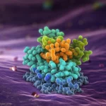 Rappresentazione 3D fotorealistica di una proteina ANGPTL4 (struttura molecolare stilizzata e luminosa) che interagisce con la superficie di una cellula di cancro cervicale viola scuro. Luce drammatica laterale, focus selettivo sulla proteina ANGPTL4, sfondo sfocato di altre cellule tumorali. Lente macro 80mm, alto dettaglio molecolare, texture cellulare realistica.