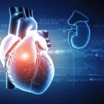 Visualizzazione artistica di un cuore umano luminoso intrecciato con nefroni renali stilizzati su uno sfondo blu scuro digitale, con linee di dati che scorrono, simboleggiando la connessione tra salute cardiaca e renale e l'analisi dei biomarcatori. Alta definizione, illuminazione d'effetto.