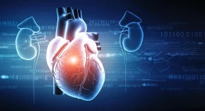 Visualizzazione artistica di un cuore umano luminoso intrecciato con nefroni renali stilizzati su uno sfondo blu scuro digitale, con linee di dati che scorrono, simboleggiando la connessione tra salute cardiaca e renale e l'analisi dei biomarcatori. Alta definizione, illuminazione d'effetto.