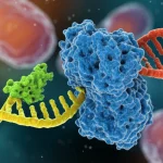 Visualizzazione fotorealistica 3D del sistema mbPE (proteina Cas9 nuclease fusa a trascrittasi inversa, in blu) che interagisce attivamente con un filamento di DNA batterico (in arancio/giallo) all'interno di una cellula di Streptococcus pneumoniae stilizzata. Si nota una rottura del doppio filamento nel DNA e una molecola di pegRNA (in verde) posizionata per la riparazione/editing. Sfondo astratto con motivi che richiamano la struttura cellulare batterica, obiettivo prime 35mm, profondità di campo accentuata per mettere a fuoco il complesso proteina-DNA.