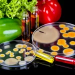 Composizione still life fotorealistica: frutta e verdura nigeriana colorata (lattuga, peperone verde) da un lato, e dall'altro capsule di Petri con colonie di lievito pigmentato (Rhodotorula, Candida, arancioni e gialle) e piccole fiale con estratti liquidi di carotenoidi (beta-carotene, licopene, luteina), illuminazione da studio controllata, lente macro 90mm, alta definizione, messa a fuoco selettiva sulle colonie di lievito.