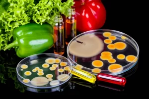 Composizione still life fotorealistica: frutta e verdura nigeriana colorata (lattuga, peperone verde) da un lato, e dall'altro capsule di Petri con colonie di lievito pigmentato (Rhodotorula, Candida, arancioni e gialle) e piccole fiale con estratti liquidi di carotenoidi (beta-carotene, licopene, luteina), illuminazione da studio controllata, lente macro 90mm, alta definizione, messa a fuoco selettiva sulle colonie di lievito.