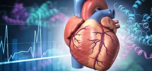 Immagine concettuale fotorealistica, obiettivo prime 35mm, che mostra un cuore umano stilizzato ma dettagliato con un grafico di glucosio sovrapposto e un accenno a strutture proteiche come NHE1, profondità di campo ridotta per focalizzare sul cuore, illuminazione da studio drammatica.