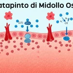 Illustrazione medica astratta che mostra il bilanciamento delle citochine infiammatorie (rosse) e anti-infiammatorie (blu) nel contesto del trapianto di midollo osseo, con un farmaco (come Ruxolitinib) che agisce per ridurre l'infiammazione. Stile grafico moderno, alta definizione.
