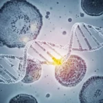 Illustrazione fotorealistica di una doppia elica di DNA con una sezione evidenziata che rappresenta una mutazione hotspot nel gene DICER1, sovrapposta a un'immagine sfocata di cellule tumorali ovariche al microscopio. Obiettivo prime 35mm, profondità di campo ridotta per focalizzare sulla mutazione, toni blu e grigi duotone per un'atmosfera scientifica e clinica.