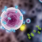 Visualizzazione 3D artistica ma scientificamente accurata di cellule tumorali polmonari (NSCLC) che migrano attraverso la barriera emato-encefalica per formare una metastasi cerebrale. In primo piano, una cellula tumorale con recettori EGFR sovraespressi (evidenziati in colore brillante) sulla sua superficie, che si sta staccando da altre cellule. Wide-angle lens, 15mm, long exposure per mostrare il movimento, focus nitido sulla cellula in primo piano, sfondo del tessuto cerebrale leggermente sfocato (depth of field).