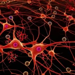 Visualizzazione 3D fotorealistica di neuroni dopaminergici nella substantia nigra attaccati da microglia infiammata (evidenziata in rosso acceso), con molecole STAT3 attivate visibili all'interno della microglia. Obiettivo prime 35mm, profondità di campo ridotta per focalizzare l'interazione, illuminazione drammatica, contesto scientifico.