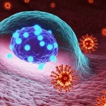 Immagine concettuale fotorealistica: una cellula stromale mesenchimale (MSC) ingegnerizzata, visibile al centro, rilascia piccole proteine miniACE2 (rappresentate come particelle luminose blu) che intercettano e si legano a particelle virali SARS-CoV-2 (rosse con spike) fluttuanti in prossimità di tessuto polmonare stilizzato. Alto dettaglio, messa a fuoco precisa sulla cellula e sulle interazioni proteina-virus, illuminazione controllata drammatica, lente macro 105mm.