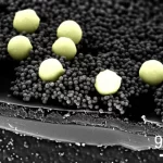 Immagine fotorealistica, macro 90mm, che mostra atomi singoli di nichel luminosi e nanocluster adiacenti su un supporto scuro e stratificato (Mo2TiAlC2), simboleggiando la catalisi concertata per la produzione di idrogeno, alta definizione, illuminazione controllata.