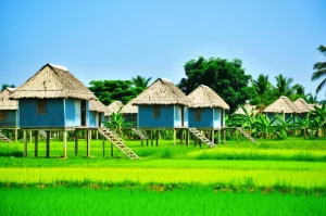 Paesaggio grandangolare, lenti da 20 mm, che mostrano diverse capanne sperimentali di design dell'Africa occidentale standardizzate utilizzate per la ricerca vettoriale della malaria immersa in un ambiente lussureggiante e verde con risaie circostanti di riso sotto un cielo blu chiaro a Covè, Benin, durante il giorno, forte attenzione attraverso la scena, vibrante illuminazione naturale.