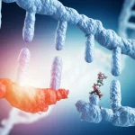 Visualizzazione artistica ma fotorealistica di un processo di editing genomico CRISPR-Cas9 che agisce su un filamento di DNA, con enfasi su una grande delezione risultante, illuminazione drammatica, obiettivo macro 90mm, alta definizione dei dettagli molecolari.