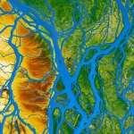 Immagine satellitare ad alta risoluzione di un delta fluviale complesso con molteplici canali (anastomizzati o anabranched), che mostra la dinamica dell'acqua e la topografia circostante. Obiettivo grandangolare 20mm, focus nitido, colori naturali.