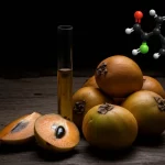 Composizione still life fotorealistica: frutti di sapota maturi e acerbi (varietà PKM-1) affiancati su una superficie di legno rustico scuro. Accanto, una provetta di vetro contenente un estratto vegetale di colore ambrato e una rappresentazione molecolare stilizzata in 3D dell'acido clorogenico sospesa sopra la scena. Illuminazione da studio drammatica e controllata che evidenzia le texture, obiettivo macro 100mm, alta definizione, messa a fuoco selettiva sui frutti acerbi.