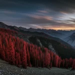 Fotografia paesaggistica grandangolare, obiettivo 18mm, dei Monti Qilian al tramonto, con foreste di abeti rossi del Qinghai (Picea crassifolia) che coprono i pendii inferiori. Luce dorata calda, messa a fuoco nitida dalle montagne in primo piano allo sfondo, lunga esposizione per nuvole soffuse nel cielo.