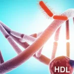 Immagine concettuale fotorealistica che mostra un legame visivo tra una doppia elica di DNA rappresentante la genetica dell'ospite, una colonia diversificata di batteri intestinali simboleggiante il microbioma, e icone di salute metabolica come una molecola di colesterolo HDL e una sezione di fegato sano, prime lens, 50mm, depth of field, high detail, luce controllata.