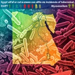 Mappa stilizzata dell'Egitto con evidenziate le aree con alta incidenza di tubercolosi extrapolmonare, sovrapposta a un'immagine microscopica del batterio Mycobacterium tuberculosis. Stile infografico, colori caldi e freddi a contrasto.