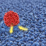 Visualizzazione 3D della proteina GRB2 (in rosso) che si lega al recettore HER2 (in blu) sulla superficie di una cellula tumorale, con la cascata di segnali Ras/MAPK attivata all'interno (frecce luminose gialle), macro lens, 90mm, high detail, controlled lighting, sfondo astratto scientifico.
