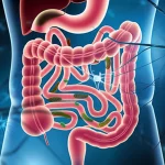 Illustrazione concettuale fotorealistica dell'asse intestino-cervello. Si vedono neuroni stilizzati collegati a un intestino sano con un microbiota equilibrato, mentre molecole di Nanocellulosa-Geniposide interagiscono positivamente. Obiettivo prime 35mm, profondità di campo che sfoca lo sfondo, illuminazione soffusa e positiva.