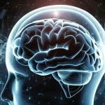 Immagine concettuale fotorealistica che mostra un cervello stilizzato parzialmente immerso in un ambiente di realtà virtuale luminoso e astratto, con linee di dati digitali che ne emergono collegandosi a punti luminosi, obiettivo macro 85mm, alta definizione, illuminazione drammatica che evidenzia la fusione tra neurologia e tecnologia VR avanzata.