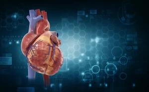 Visualizzazione medica 3D stilizzata del cuore umano con arterie coronarie evidenziate, alcune mostrano segni di calcificazione, su sfondo scuro astratto, alta definizione.