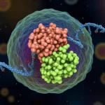 Visualizzazione 3D della proteina HOXB8 (struttura a nastro colorata) interagente con una doppia elica di DNA all'interno del nucleo stilizzato di una cellula tumorale HNSCC. Illuminazione drammatica stile film noir, obiettivo prime 35mm, profondità di campo ridotta per evidenziare l'interazione proteina-DNA, sfondo scuro e sfocato.
