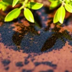 Fotografia macro fotorealistica, lente 100mm, di nanoparticelle magnetiche scure (ZnO@Fe2O3 decorate con Ag/AgCl) parzialmente immerse in acqua limpida su un fondo che richiama la terra rossa di Hormoz e foglie verdi di Avicennia marina sfocate sullo sfondo. La luce solare illumina la scena, suggerendo l'attivazione fotocatalitica. Alta definizione, messa a fuoco precisa sulle nanoparticelle, illuminazione controllata per enfatizzare la texture e il potenziale.