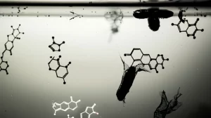 Microplastiche sferiche e irregolari che fluttuano in un liquido torbido simulante i succhi gastrici all'interno di un contenitore di vetro trasparente. Alcune molecole stilizzate di benzo[a]pirene (strutture ad anelli aromatici) si staccano visibilmente dalle superfici delle microplastiche. L'illuminazione è drammatica, proveniente da un lato, creando ombre e mettendo in risalto le particelle. Lente macro 90mm, alta definizione, focus selettivo sulle particelle in primo piano che rilasciano le molecole.