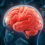 Visualizzazione concettuale del cervello maschile con aree infiammate evidenziate in rosso e molecole di androgeni (testosterone) stilizzate che interagiscono con esso. Sullo sfondo, strutture simili a placche amiloidi sfocate. Illuminazione drammatica, focus selettivo sul cervello e sulle molecole, stile fotorealistico con profondità di campo.