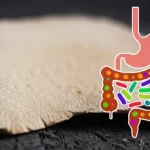 Fotografia macro ad alta definizione di un pezzo del fungo Poria cocos (sclerotia) con la sua texture distintiva, accanto a una rappresentazione stilizzata di un intestino sano e vibrante con batteri benefici. Obiettivo macro 105mm, illuminazione laterale controllata per evidenziare i dettagli, sfondo leggermente sfocato.