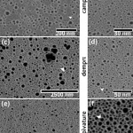 Immagine macro fotorealistica di microstrutture di triossido di molibdeno (MoO3) su un elettrodo di supercondensatore, illuminazione controllata, alta definizione, obiettivo 100mm, che mostra la differenza tra campioni trattati a diverse temperature e con attivazione KOH, evidenziando la porosità aumentata dopo il trattamento KOH.