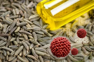 Primo piano di semi di cumino (Carum carvi) accanto a una fiala contenente olio essenziale dorato e una rappresentazione grafica di nanoparticelle sferiche, obiettivo macro 85mm, alta definizione, luce naturale controllata, focus sui dettagli dei semi e sulla texture dell'olio.